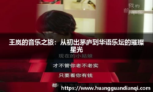 王岚的音乐之旅：从初出茅庐到华语乐坛的璀璨星光